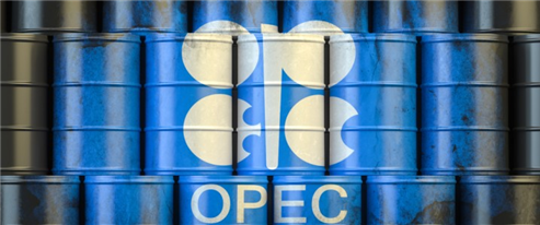 IEA, OPEC Divergence on Oil Demand Becomes Too Big To Ignore