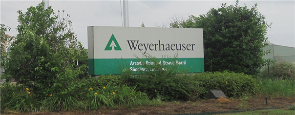 Weyerhaeuser Co (WY) Gains with Earnings on Tap