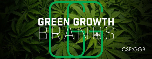 Forget Production - Retail and Brands Are What Matter in Crowded Cannabis Industry
