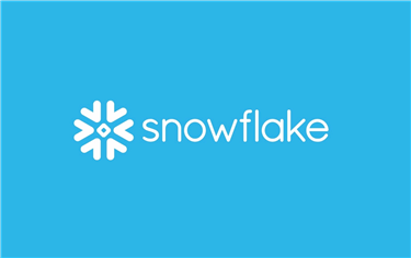 Snowflake Falls Despite Beats